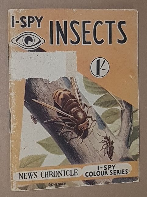 Image for I-Spy Insects