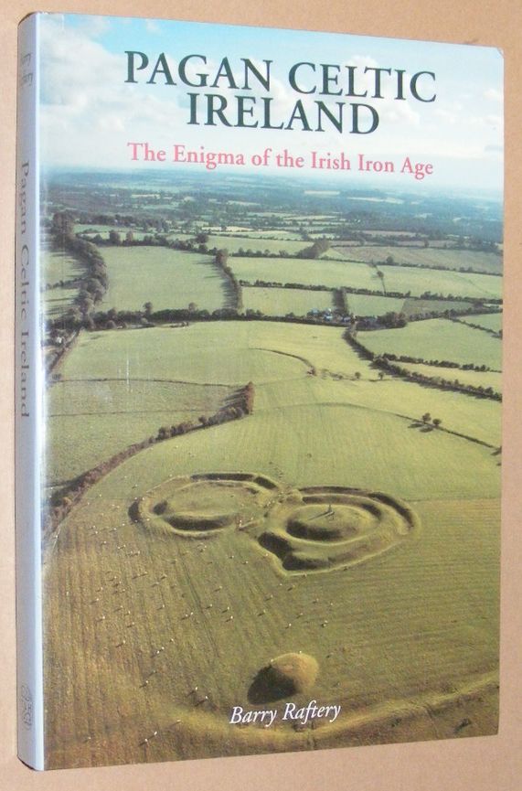 Image for Pagan Celtic Ireland: the enigma of the Irish Iron Age