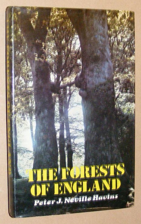 Image for The Forests of England