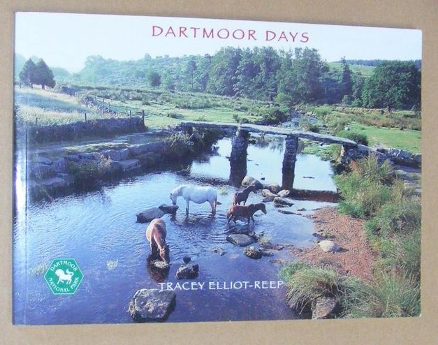 Image for Dartmoor Days
