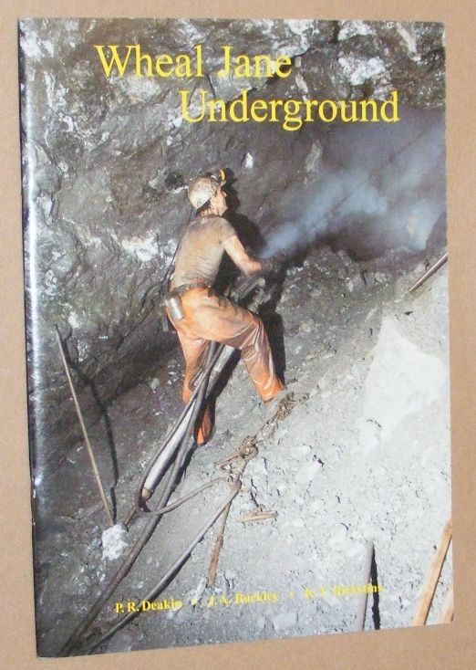 Image for Wheal Jane Underground