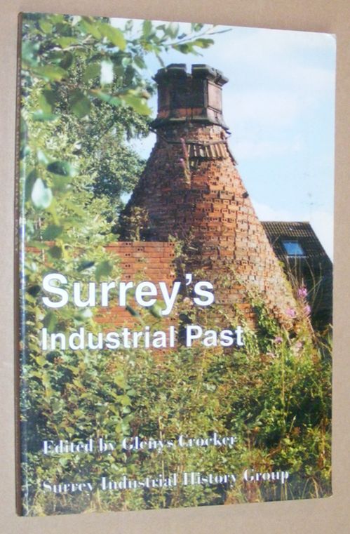 Image for Surrey's Industrial Past