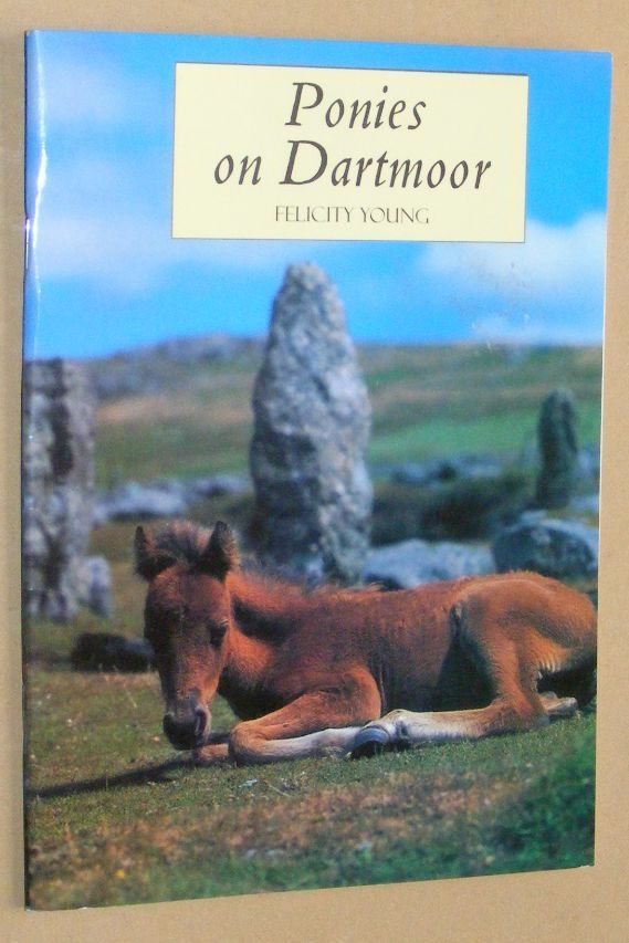 Image for Ponies on Dartmoor