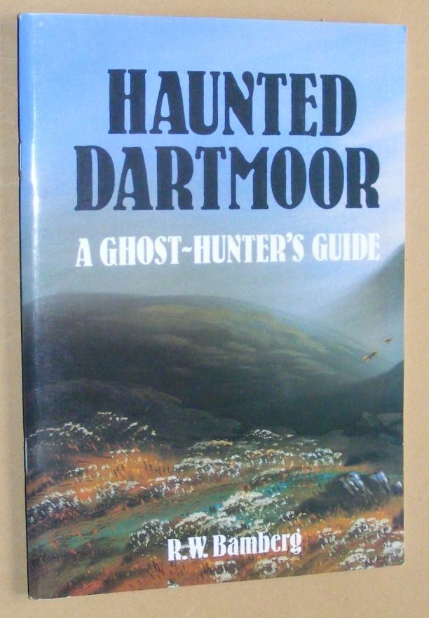 Image for Haunted Dartmoor: a ghost-hunter's guide